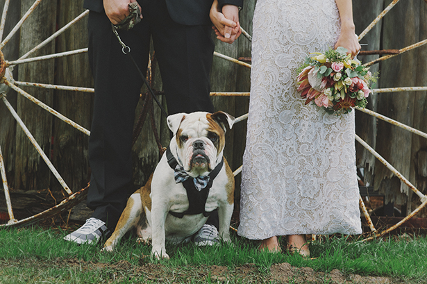 Bride and Groom With Bulldog